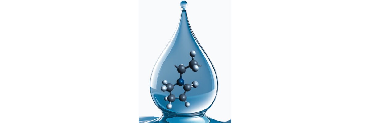 HPLC-Analytik von Polyvinylpyrrolidon (PVP)  - HPLC Analyse von Polyvinylpyrrolidon (PVP)