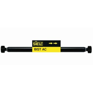 BIST AC 3,2 mm-Vorsäulen (2 Stück)-5 µm-300 Å