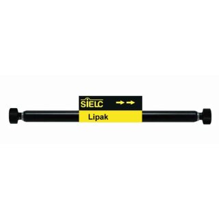 Lipak HPLC-Säule 22x250mm 5µm 100A