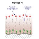 Obelisc N HPLC-Säule 4.6x100mm 5µm 100A