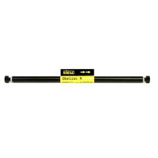 Obelisc R HPLC-Säule 2.1x10mm 5µm 100A