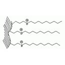 Primesep B HPLC-Säule 3.2x10mm 5µm 100A