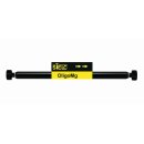 OligoMg HPLC-Säule 4,6x150mm 3µm 100A Coated
