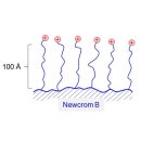 Newcrom B HPLC-Säule 2.1x250mm 5µm 100A