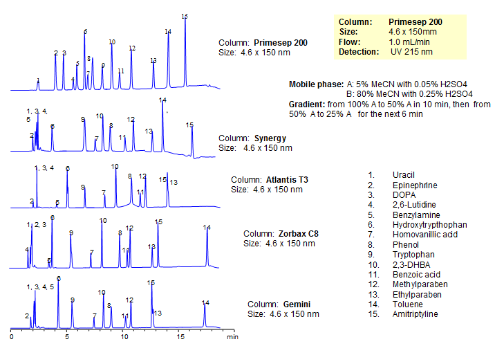 Generic Screening Method for Complex Mixtures on Primesep 200 Chromatogramm