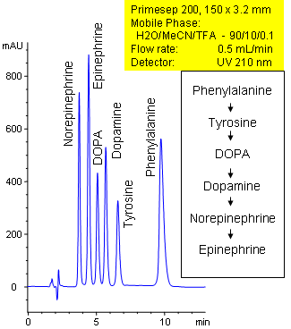 HPLC Analysis of the Catecholamine Pathway Chromatogramm