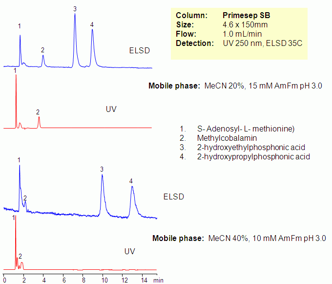HPLC Separation of 2-HEP and 2-HPP in the Presence of Methylcobalamin and Amino Acids Chromatogramm