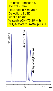 HPLC Separation of Acetylcholines Chromatogramm