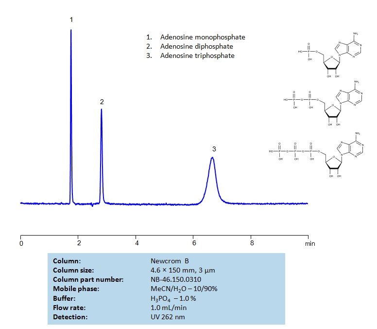 HPLC Separation of Adenosine Mono-, Di- and Triphosphate on Newcrom B column Chromatogramm
