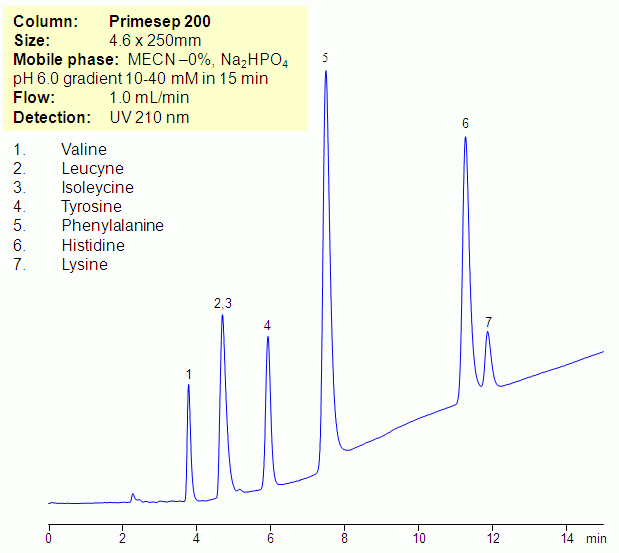 HPLC Separation of Amino Acids in Zero Organic Mode on Primesep 200 column Chromatogramm