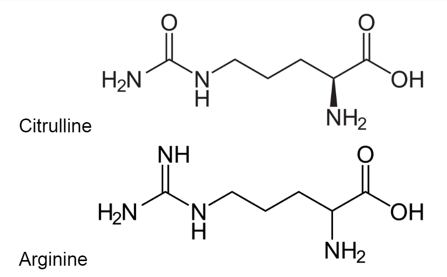 HPLC Separation of Citrulline and Arginine on Primesep 200 Column Chromatogramm