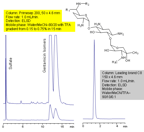HPLC Separation of Gentamicins Chromatogramm