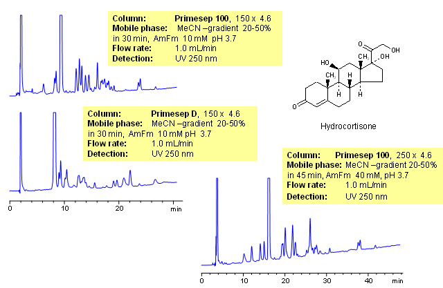 HPLC Separation of Hydrocortisone and Hydrocortisone’s Degradation Products Chromatogramm