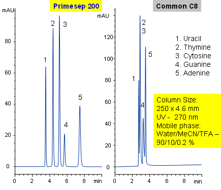 Separation of Nucleic Bases Chromatogramm