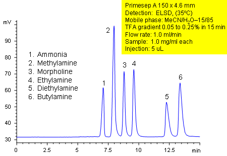 Separation of Simple Amines and Ammonia Chromatogramm