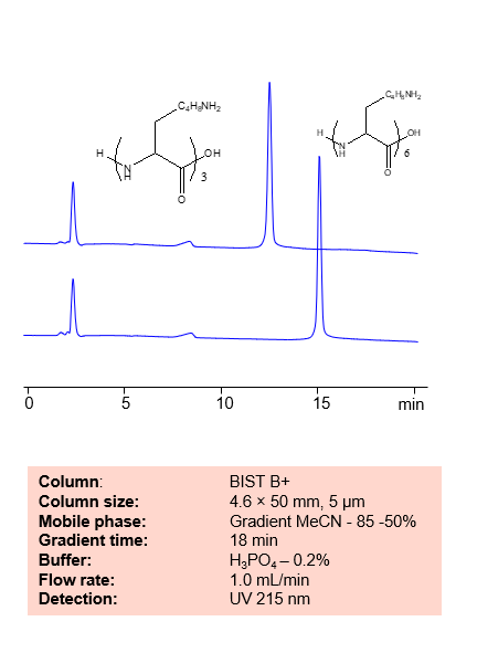 Separation of Small Lysine-based Peptide Oligomers on BIST B+ Column Chromatogramm