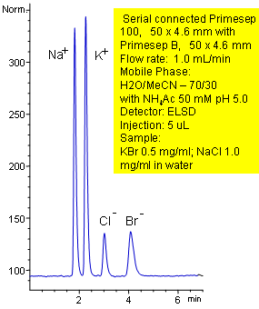 Simultaneous Separation of Cations and Anions Chromatogramm