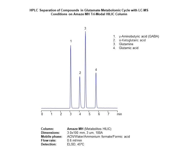 HPLC Separation of Compounds in Glutamate Metabolomic Cycle