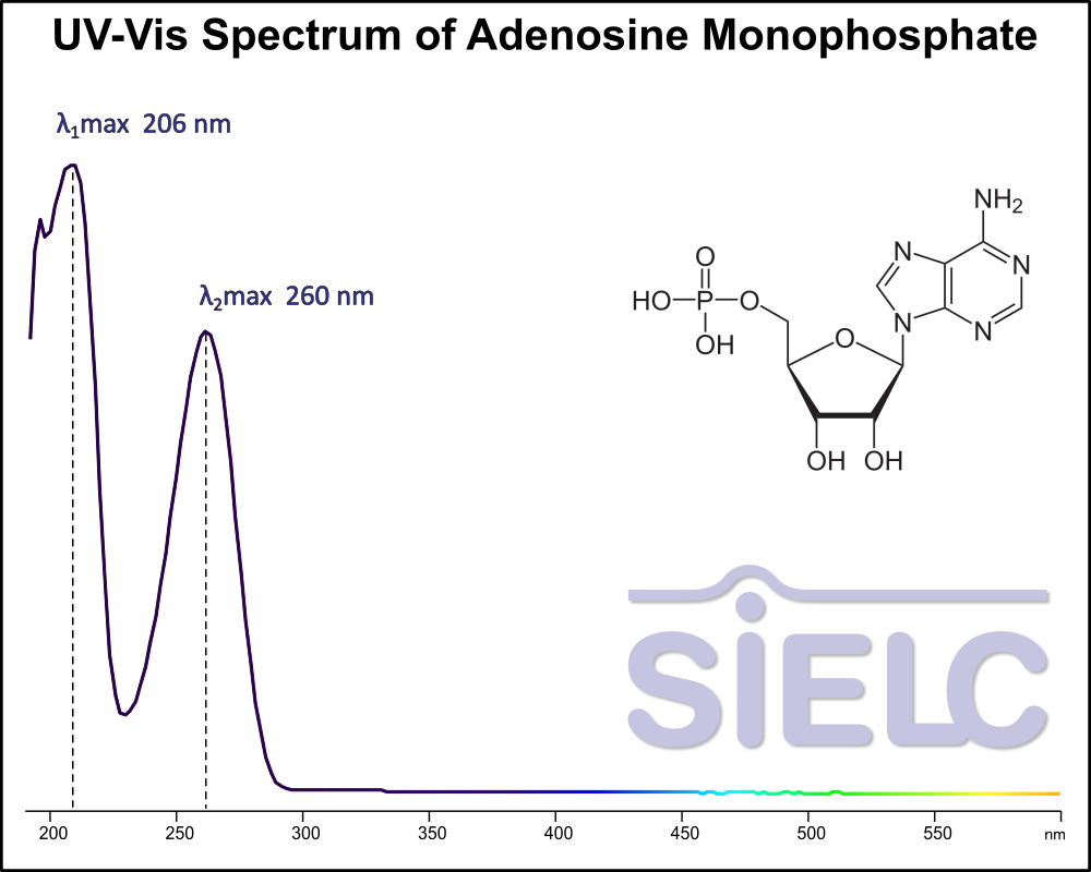 UV-Vis Spectrum ofAdenosine Monophosphate.
